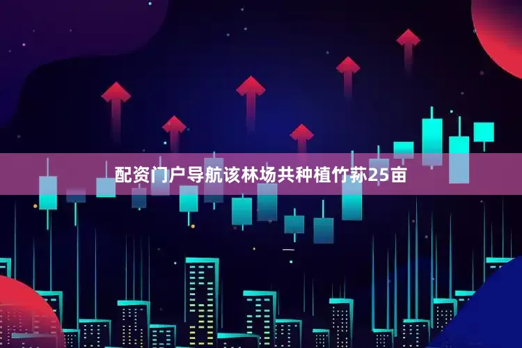 配资门户导航该林场共种植竹荪25亩