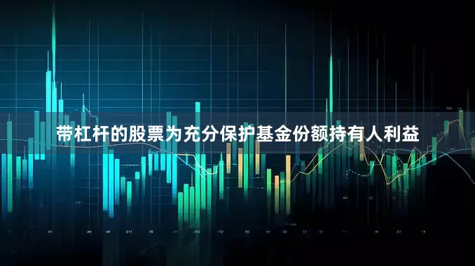 带杠杆的股票为充分保护基金份额持有人利益