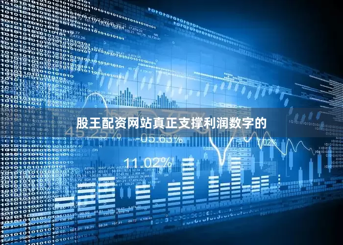 股王配资网站　　真正支撑利润数字的